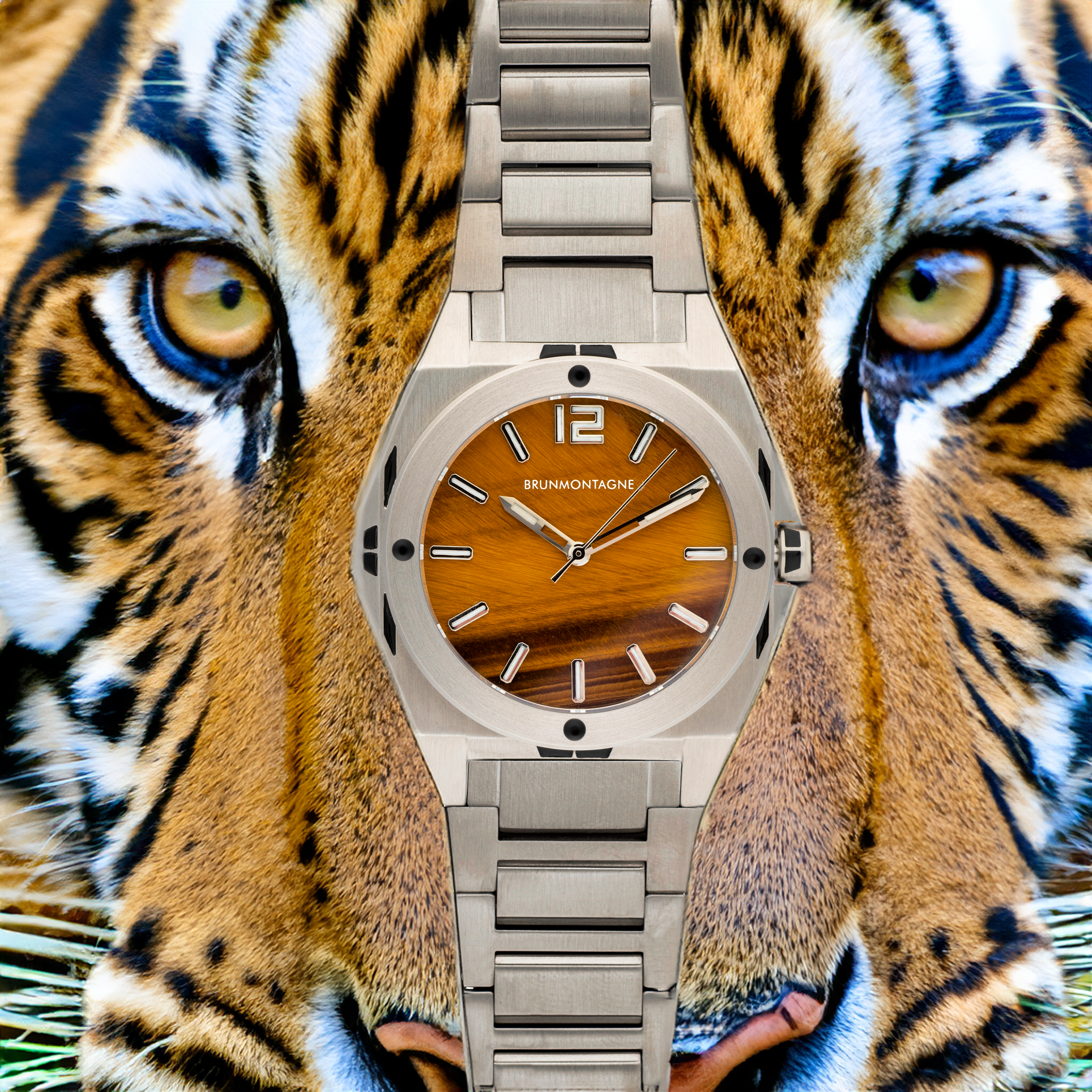 Limited Edition Representor Tigereye